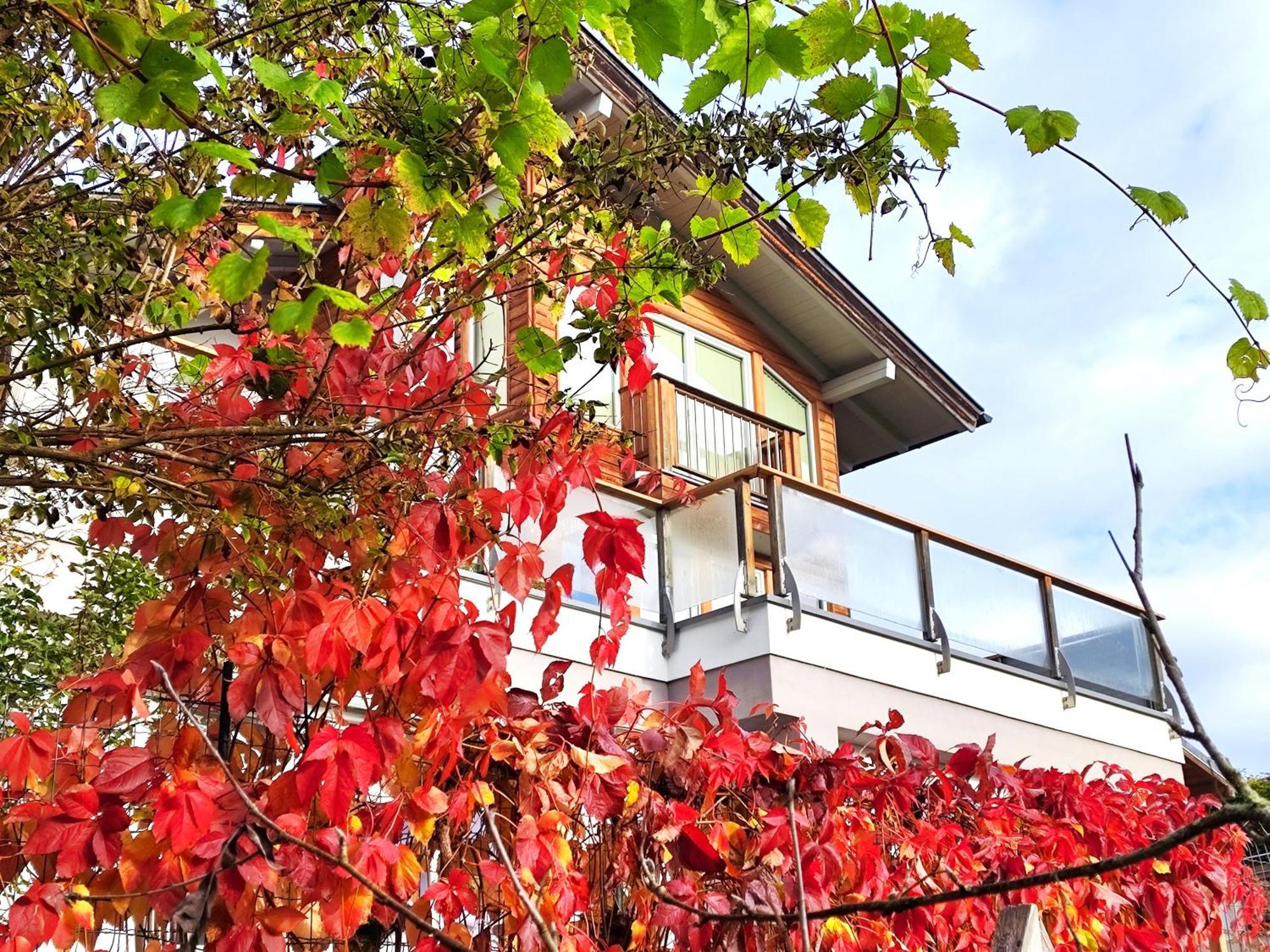 Ferienwohnung Hoellwart - Exclusiv, Ruhige Lage, Panoramablick Bischofshofen Exterior foto